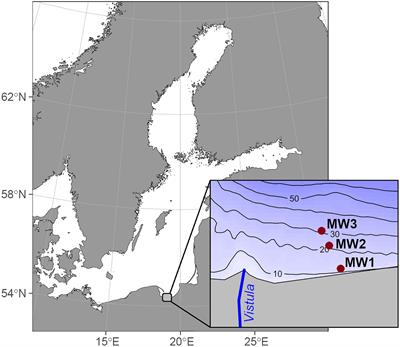 Utilization of riverine organic matter by macrobenthic communities in a temperate prodelta